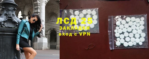 PSILOCYBIN Баксан