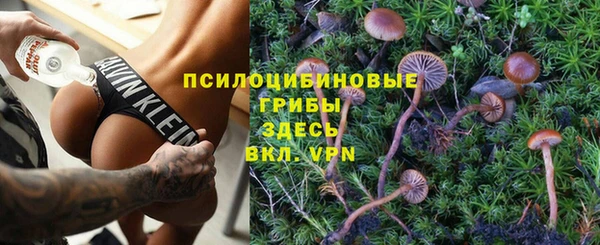 PSILOCYBIN Баксан