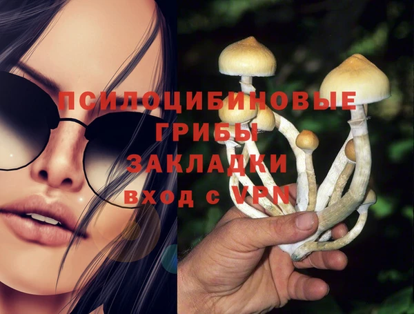 PSILOCYBIN Баксан