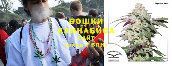 PSILOCYBIN Баксан