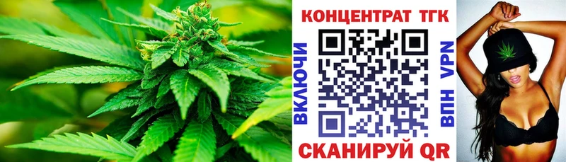 ТГК концентрат  как найти   Белёв 